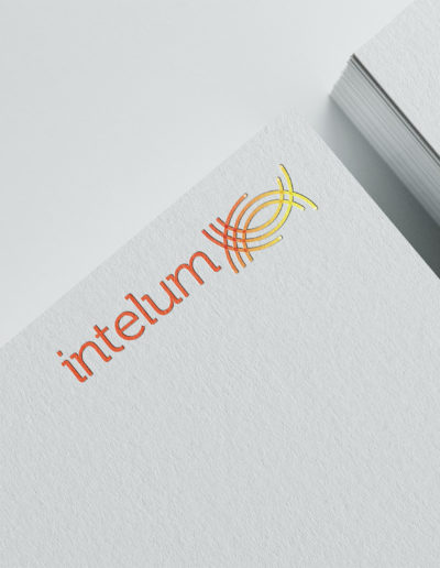 Page portfolio book CERN intelum logotype cnzia graphisme & impression Bassin lémanique, Nyon et Pays de Gex